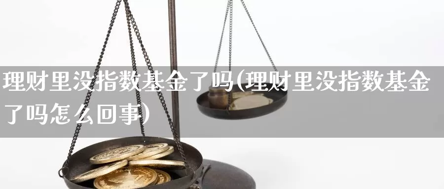 理财里没指数基金了吗(理财里没指数基金了吗怎么回事)_https://www.rktglass.com_恒指期货直播室_第1张