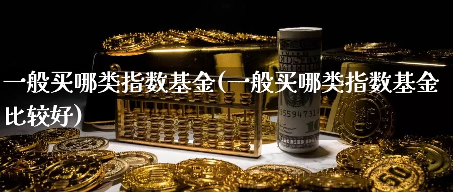 一般买哪类指数基金(一般买哪类指数基金比较好)_https://www.rktglass.com_恒指期货直播室_第1张