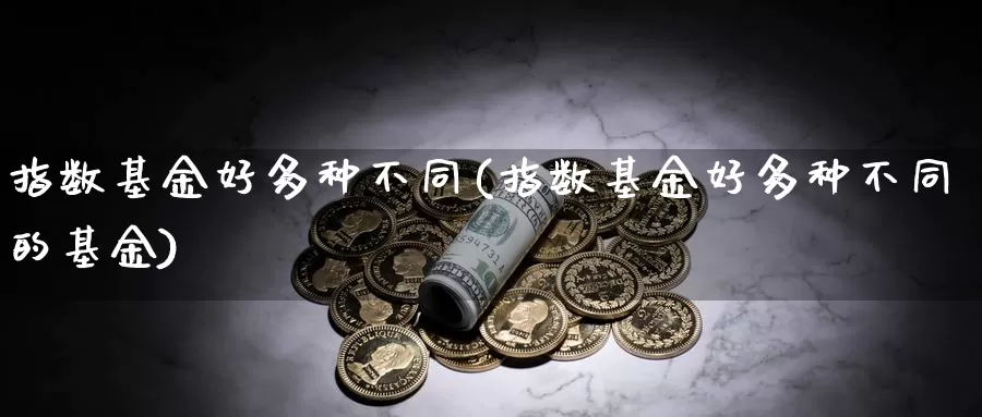 指数基金好多种不同(指数基金好多种不同的基金)_https://www.rktglass.com_恒指期货直播室_第1张