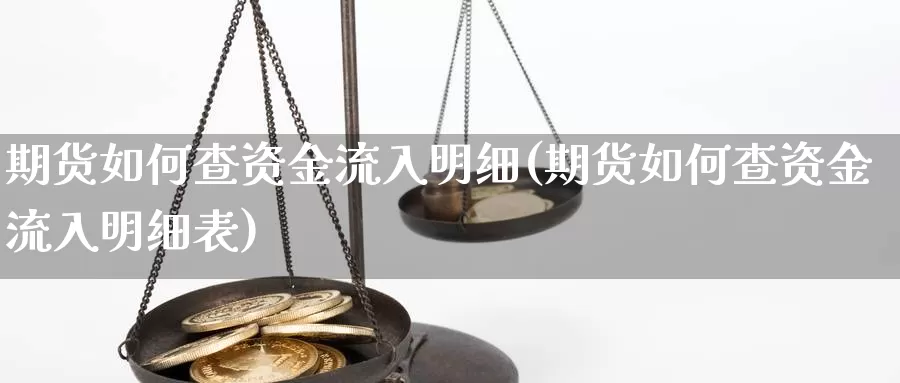 期货如何查资金流入明细(期货如何查资金流入明细表)_https://www.rktglass.com_恒指期货手续费_第1张