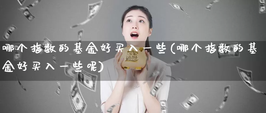 哪个指数的基金好买入一些(哪个指数的基金好买入一些呢)_https://www.rktglass.com_恒指期货直播室_第1张