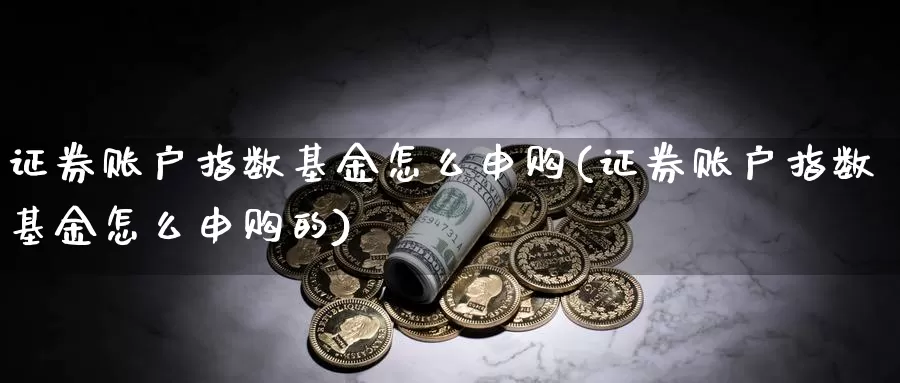 证券账户指数基金怎么申购(证券账户指数基金怎么申购的)_https://www.rktglass.com_恒指期货直播室_第1张