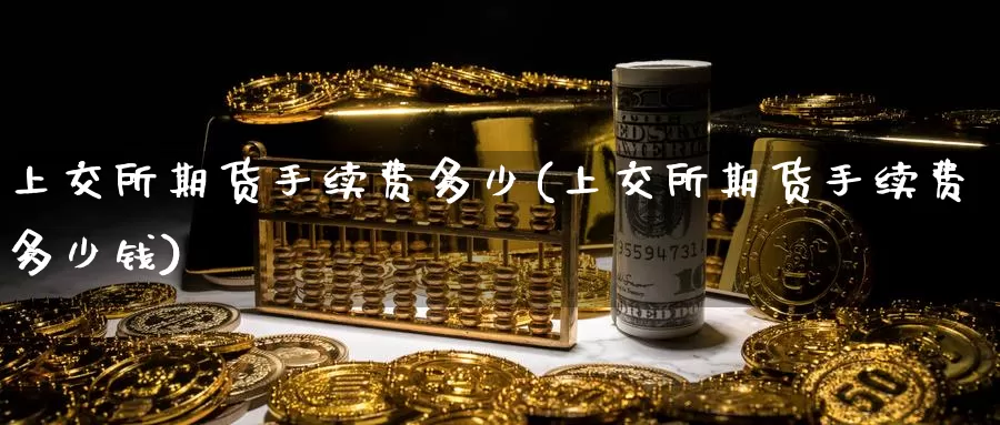 上交所期货手续费多少(上交所期货手续费多少钱)_https://www.rktglass.com_恒指期货手续费_第1张