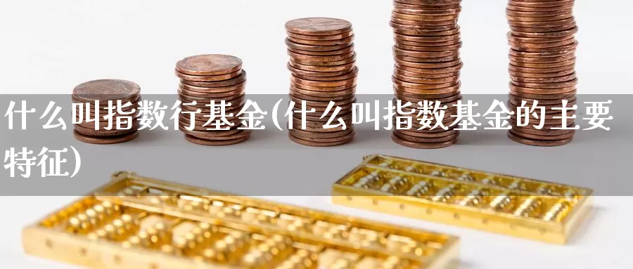 什么叫指数行基金(什么叫指数基金的主要特征)_https://www.rktglass.com_恒指期货直播室_第1张