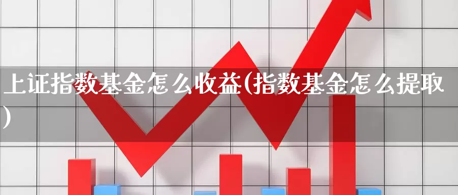 上证指数基金怎么收益(指数基金怎么提取)_https://www.rktglass.com_恒指期货直播室_第1张