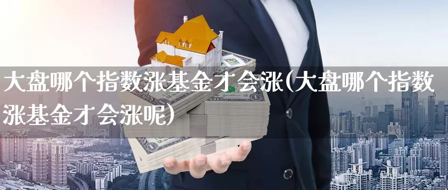 大盘哪个指数涨基金才会涨(大盘哪个指数涨基金才会涨呢)_https://www.rktglass.com_恒指期货直播室_第1张