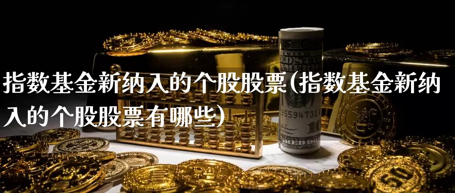 指数基金新纳入的个股股票(指数基金新纳入的个股股票有哪些)_https://www.rktglass.com_恒指期货直播室_第1张