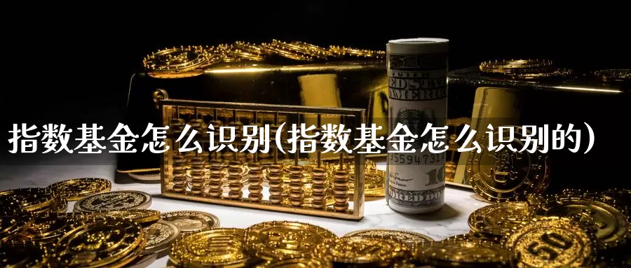 指数基金怎么识别(指数基金怎么识别的)_https://www.rktglass.com_恒指期货直播室_第1张