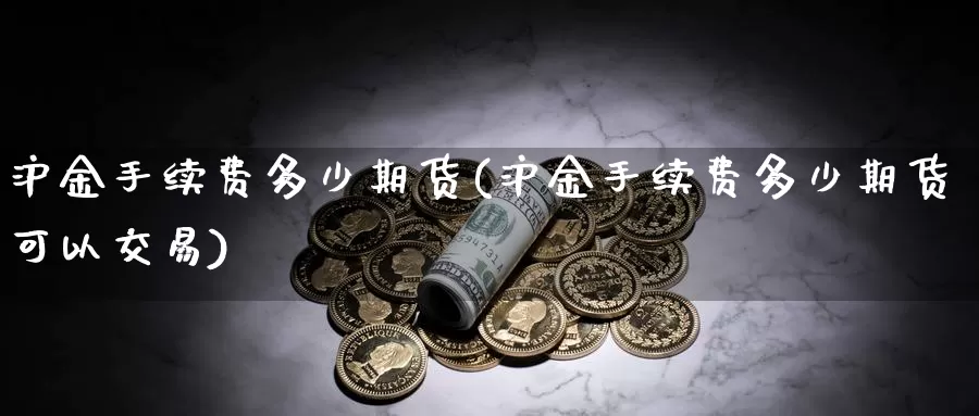 沪金手续费多少期货(沪金手续费多少期货可以交易)_https://www.rktglass.com_恒指期货直播室_第1张