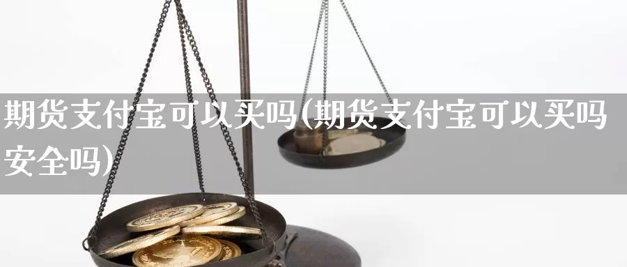 期货支付宝可以买吗(期货支付宝可以买吗安全吗)_https://www.rktglass.com_恒指期货手续费_第1张