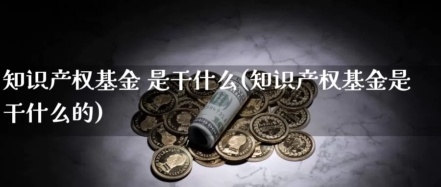 知识产权基金 是干什么(知识产权基金是干什么的)_https://www.rktglass.com_恒指期货直播室_第1张