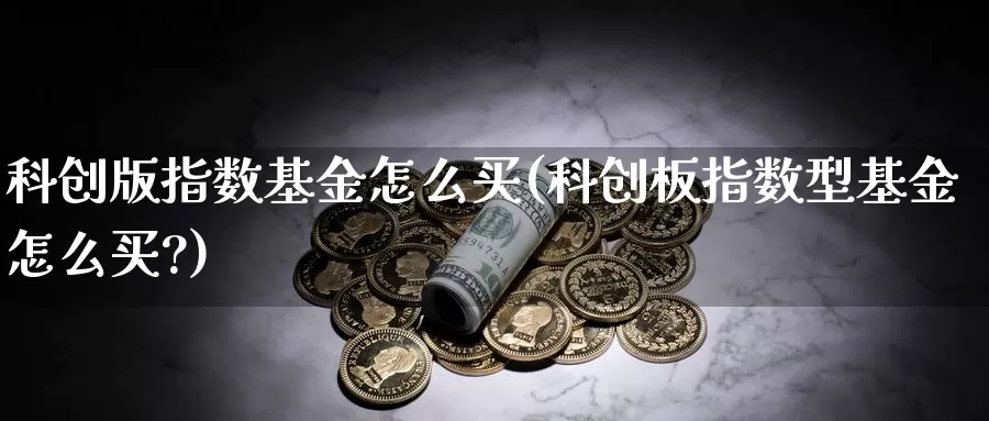 科创版指数基金怎么买(科创板指数型基金怎么买?)_https://www.rktglass.com_恒指期货直播室_第1张