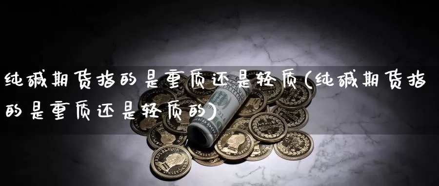 纯碱期货指的是重质还是轻质(纯碱期货指的是重质还是轻质的)_https://www.rktglass.com_恒指期货直播室_第1张