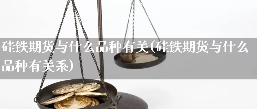 硅铁期货与什么品种有关(硅铁期货与什么品种有关系)_https://www.rktglass.com_恒指期货手续费_第1张