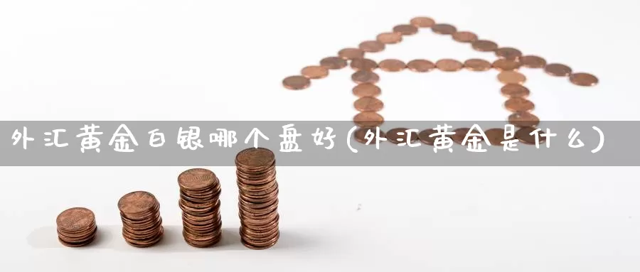 外汇黄金白银哪个盘好(外汇黄金是什么)_https://www.rktglass.com_恒指期货开户_第1张