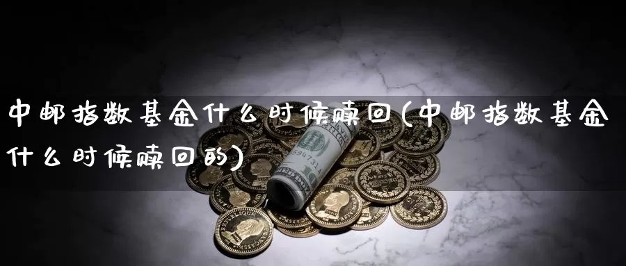 中邮指数基金什么时候赎回(中邮指数基金什么时候赎回的)_https://www.rktglass.com_恒指期货直播室_第1张