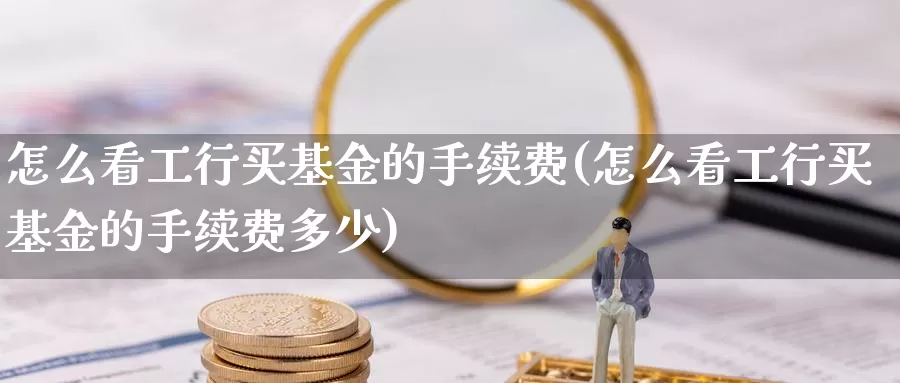 怎么看工行买基金的手续费(怎么看工行买基金的手续费多少)_https://www.rktglass.com_恒指期货直播室_第1张