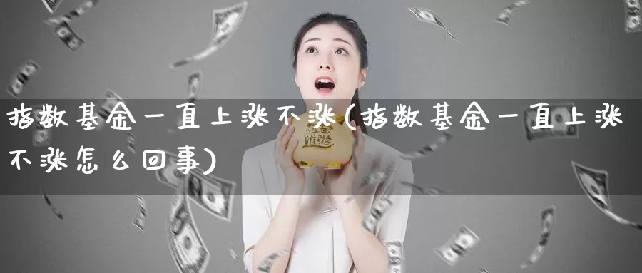 指数基金一直上涨不涨(指数基金一直上涨不涨怎么回事)_https://www.rktglass.com_恒指期货直播室_第1张