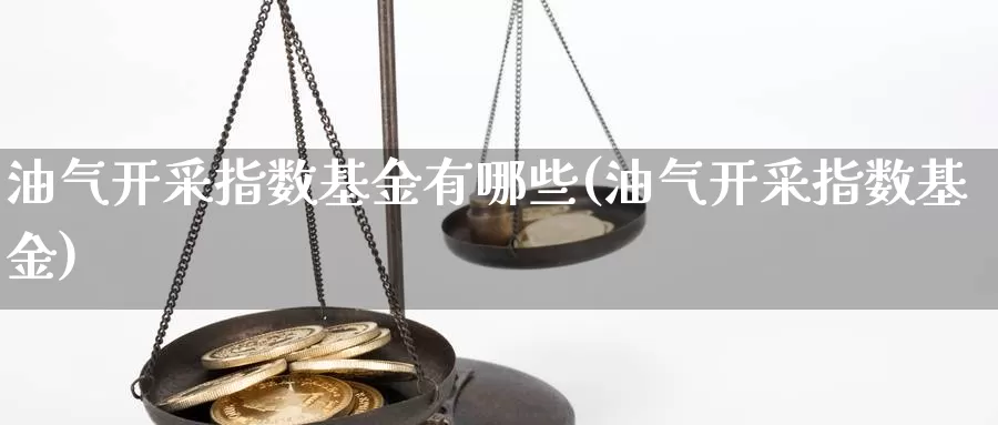 油气开采指数基金有哪些(油气开采指数基金)_https://www.rktglass.com_恒指期货直播室_第1张