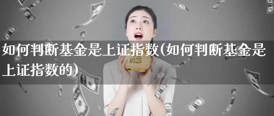 如何判断基金是上证指数(如何判断基金是上证指数的)_https://www.rktglass.com_恒指期货直播室_第1张