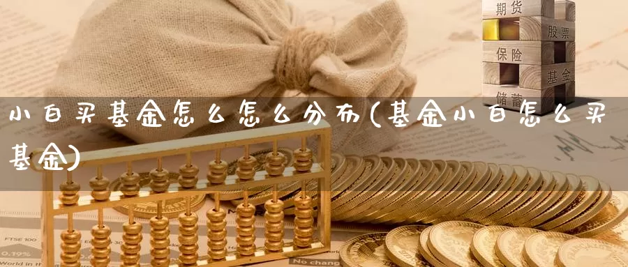 小白买基金怎么怎么分布(基金小白怎么买基金)_https://www.rktglass.com_恒指期货直播室_第1张