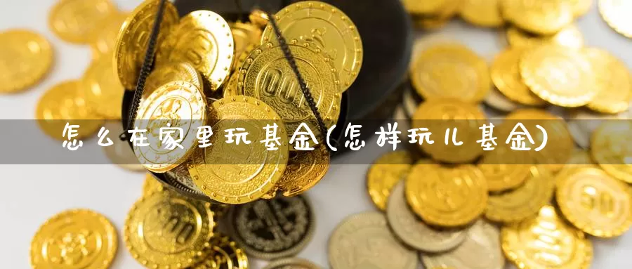 怎么在家里玩基金(怎样玩儿基金)_https://www.rktglass.com_恒指期货直播室_第1张