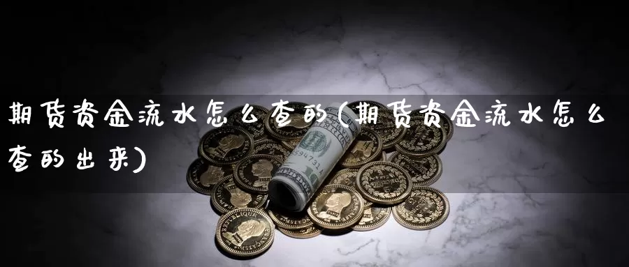 期货资金流水怎么查的(期货资金流水怎么查的出来)_https://www.rktglass.com_恒指期货开户_第1张