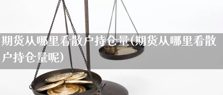 期货从哪里看散户持仓量(期货从哪里看散户持仓量呢)_https://www.rktglass.com_恒指期货直播室_第1张