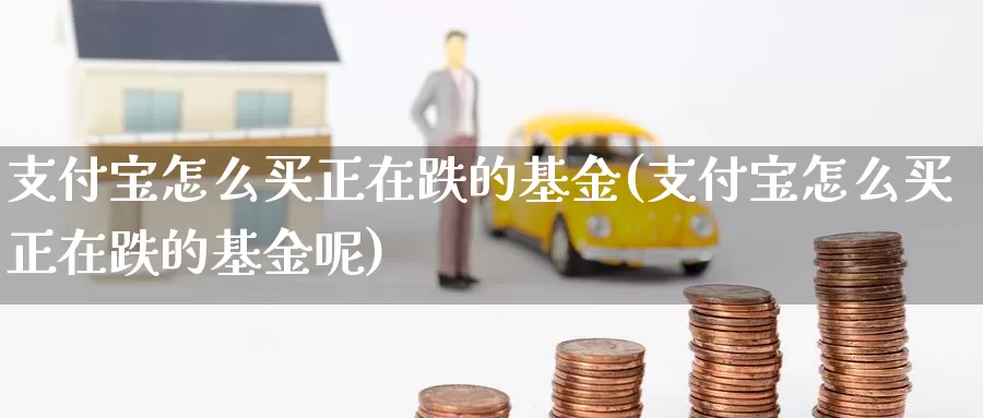 支付宝怎么买正在跌的基金(支付宝怎么买正在跌的基金呢)_https://www.rktglass.com_恒指期货直播室_第1张