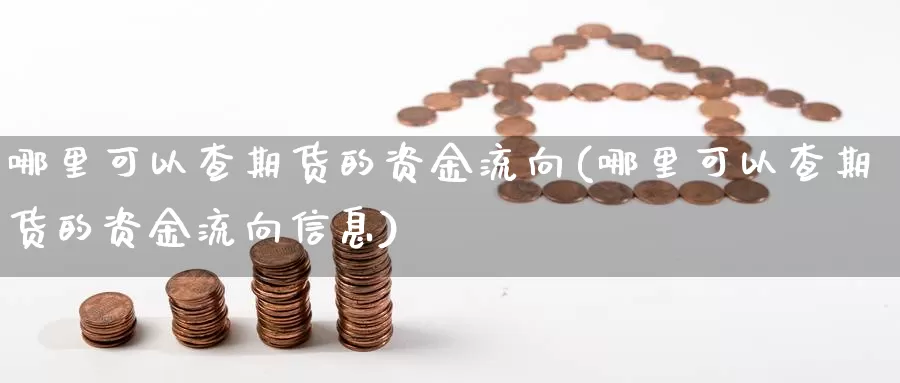 哪里可以查期货的资金流向(哪里可以查期货的资金流向信息)_https://www.rktglass.com_恒指期货直播室_第1张