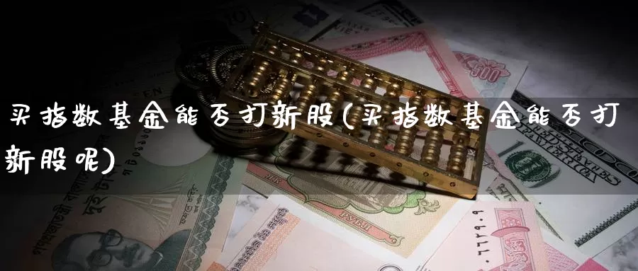 买指数基金能否打新股(买指数基金能否打新股呢)_https://www.rktglass.com_恒指期货直播室_第1张