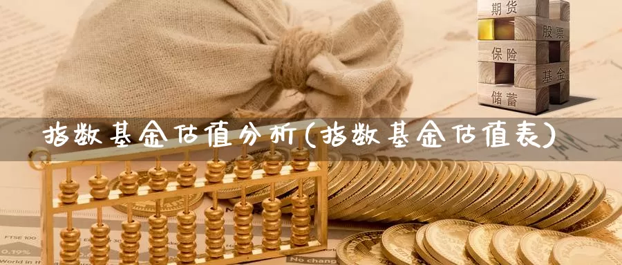 指数基金估值分析(指数基金估值表)_https://www.rktglass.com_恒指期货直播室_第1张