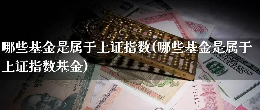 哪些基金是属于上证指数(哪些基金是属于上证指数基金)_https://www.rktglass.com_恒指期货直播室_第1张