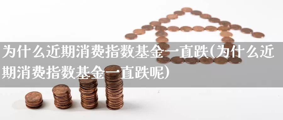 为什么近期消费指数基金一直跌(为什么近期消费指数基金一直跌呢)_https://www.rktglass.com_恒指期货直播室_第1张