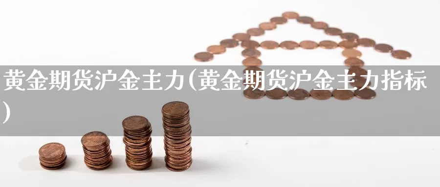 黄金期货沪金主力(黄金期货沪金主力指标)_https://www.rktglass.com_恒指期货开户_第1张