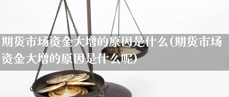 期货市场资金大增的原因是什么(期货市场资金大增的原因是什么呢)_https://www.rktglass.com_恒指期货直播室_第1张