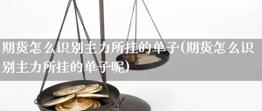 期货怎么识别主力所挂的单子(期货怎么识别主力所挂的单子呢)_https://www.rktglass.com_恒指期货开户_第1张